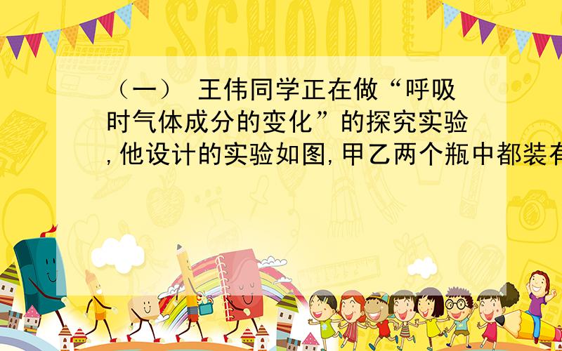 （一） 王伟同学正在做“呼吸时气体成分的变化”的探究实验,他设计的实验如图,甲乙两个瓶中都装有澄清的石灰水.在吸入气体时,左手捏紧橡皮管,右手松开.在呼出气体时,右手捏紧橡皮管,