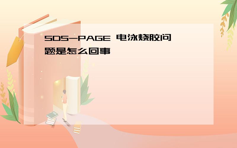 SDS-PAGE 电泳烧胶问题是怎么回事