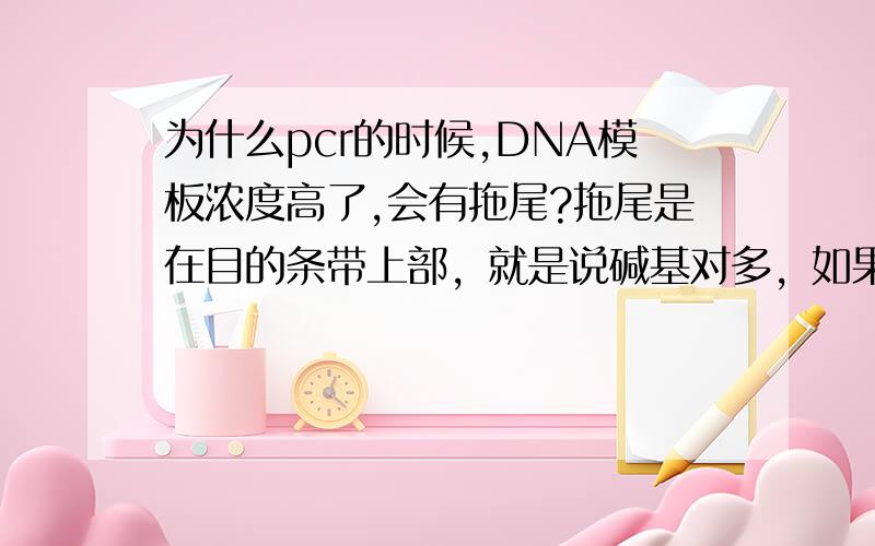 为什么pcr的时候,DNA模板浓度高了,会有拖尾?拖尾是在目的条带上部，就是说碱基对多，如果我稀释DNA模板，效果就会好的很呐！