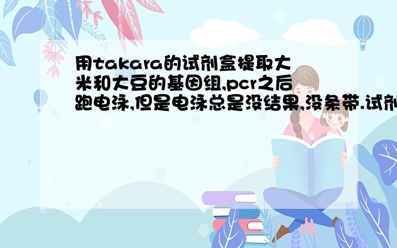 用takara的试剂盒提取大米和大豆的基因组,pcr之后跑电泳,但是电泳总是没结果,没条带.试剂盒应该没有问题,因为不久前还用,都提出来了.而且因为提不出来,就换了一个新的,结果还是提不出来,