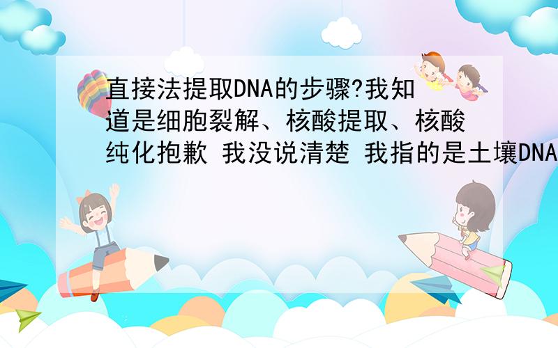 直接法提取DNA的步骤?我知道是细胞裂解、核酸提取、核酸纯化抱歉 我没说清楚 我指的是土壤DNA的提取~不是真核细胞~