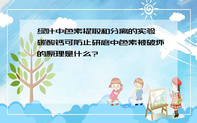 绿叶中色素提取和分离的实验,碳酸钙可防止研磨中色素被破坏的原理是什么?