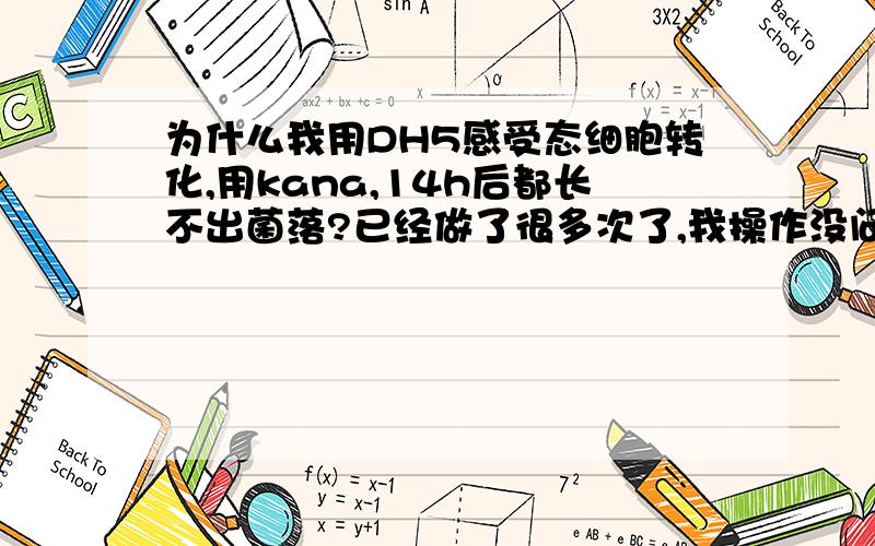 为什么我用DH5感受态细胞转化,用kana,14h后都长不出菌落?已经做了很多次了,我操作没问题没人回答？