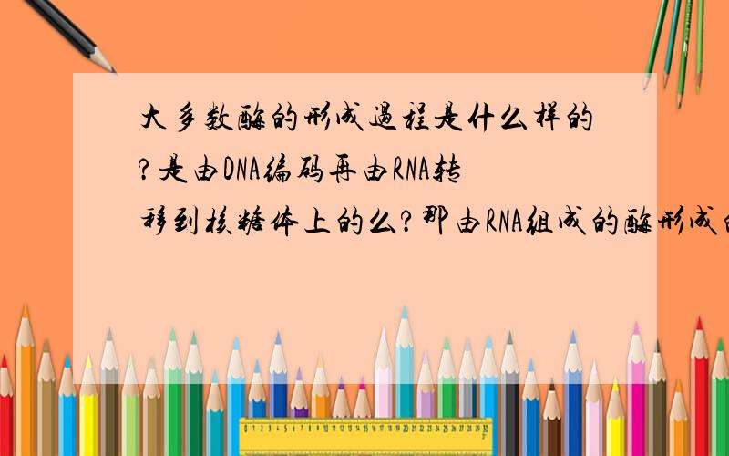 大多数酶的形成过程是什么样的?是由DNA编码再由RNA转移到核糖体上的么?那由RNA组成的酶形成的过程又怎样