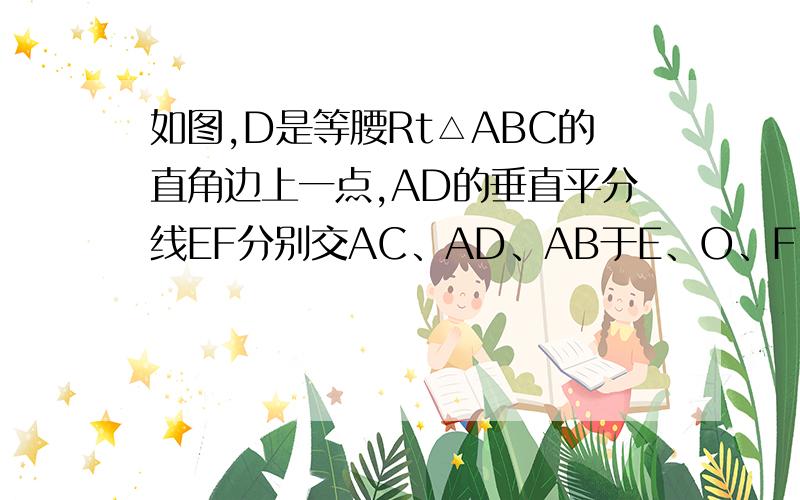 如图,D是等腰Rt△ABC的直角边上一点,AD的垂直平分线EF分别交AC、AD、AB于E、O、F,BC=2.（1） CD=√2 时,求AE的长.（2） 证明：当CD=2（√2 - 1）时,四边形AEDF为菱形.