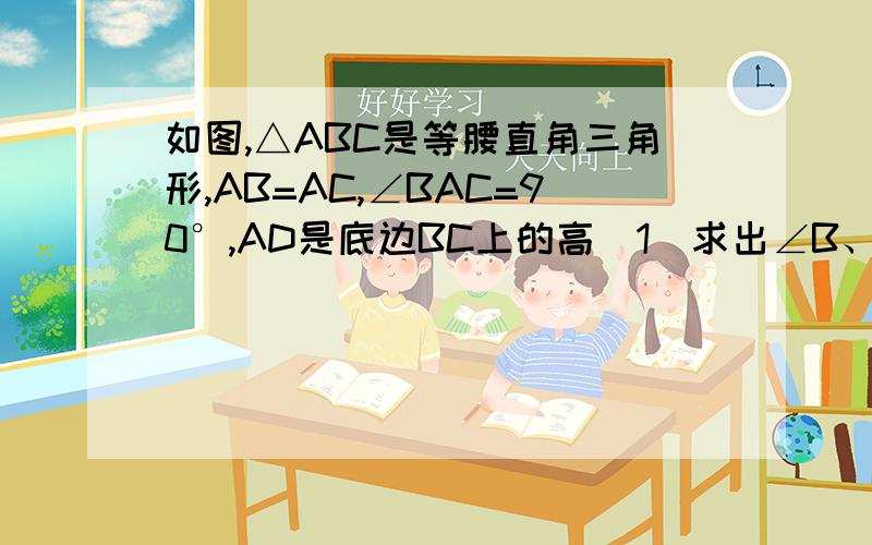 如图,△ABC是等腰直角三角形,AB=AC,∠BAC=90°,AD是底边BC上的高(1)求出∠B、∠C、∠BAD、∠DAC的度数(2)若BD=4CM,求CD的长