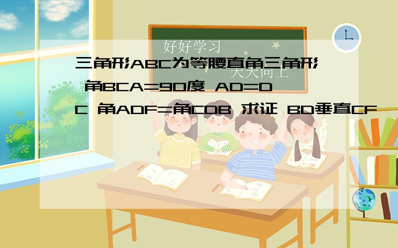 三角形ABC为等腰直角三角形 角BCA=90度 AD=DC 角ADF=角CDB 求证 BD垂直CF