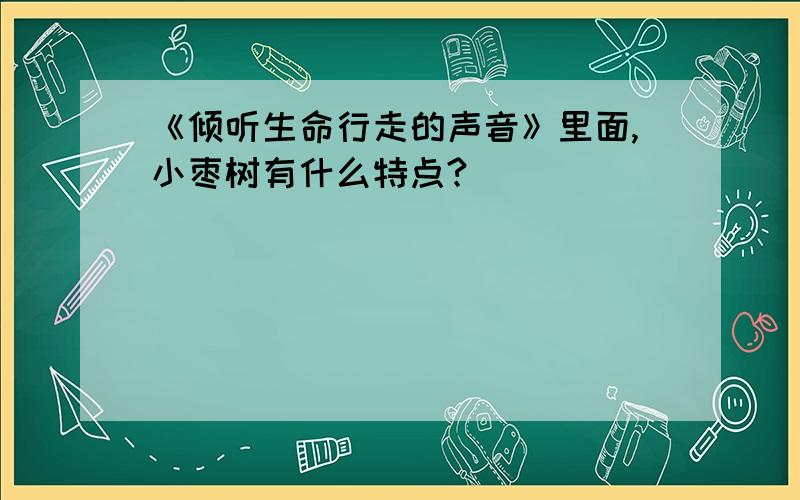 《倾听生命行走的声音》里面,小枣树有什么特点?