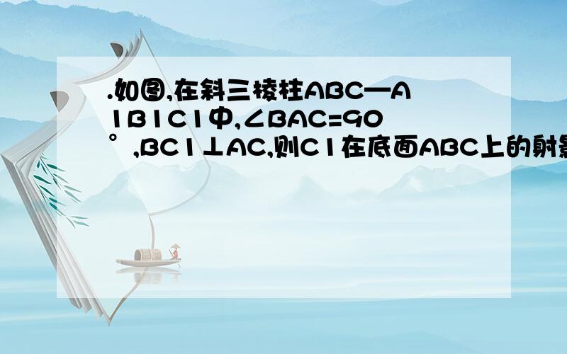 .如图,在斜三棱柱ABC—A1B1C1中,∠BAC=90°,BC1⊥AC,则C1在底面ABC上的射影H必在