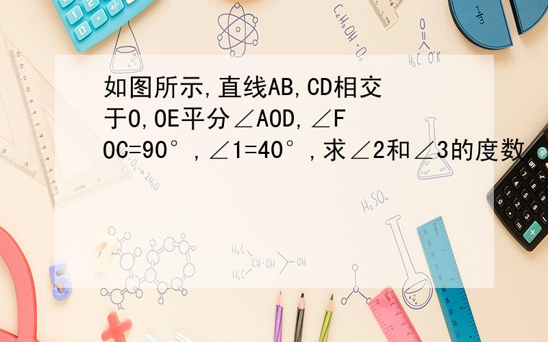 如图所示,直线AB,CD相交于O,OE平分∠AOD,∠FOC=90°,∠1=40°,求∠2和∠3的度数.