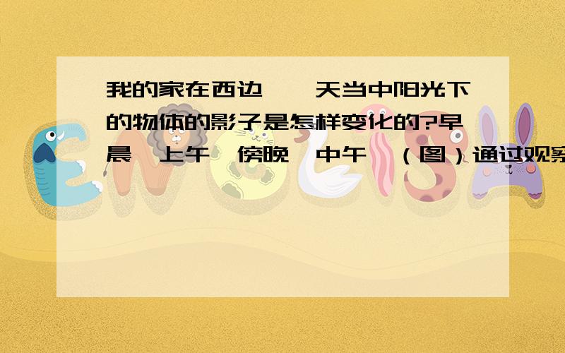 我的家在西边,一天当中阳光下的物体的影子是怎样变化的?早晨,上午,傍晚,中午,（图）通过观察物体影子的变化你发现了什么?