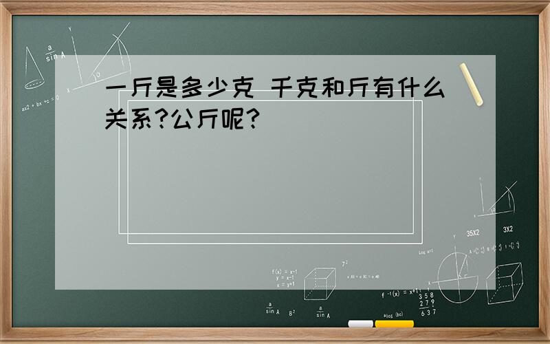 一斤是多少克 千克和斤有什么关系?公斤呢?