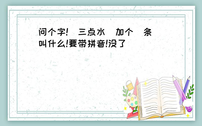 问个字!（三点水）加个（条）叫什么!要带拼音!没了