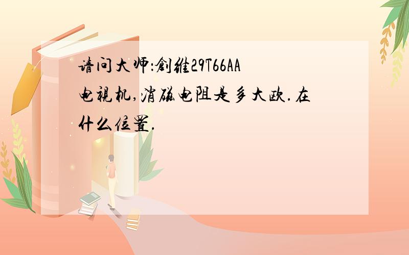 请问大师：创维29T66AA电视机,消磁电阻是多大欧.在什么位置.