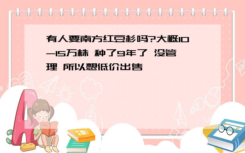 有人要南方红豆杉吗?大概10-15万株 种了9年了 没管理 所以想低价出售