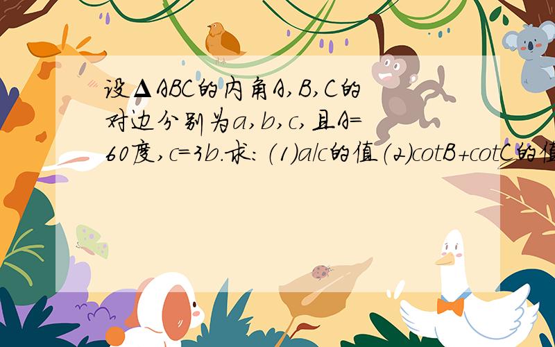 设ΔABC的内角A,B,C的对边分别为a,b,c,且A=60度,c=3b.求：（1）a/c的值（2）cotB+cotC的值