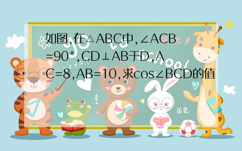 如图,在△ABC中,∠ACB=90°,CD⊥AB于D,AC=8,AB=10,求cos∠BCD的值