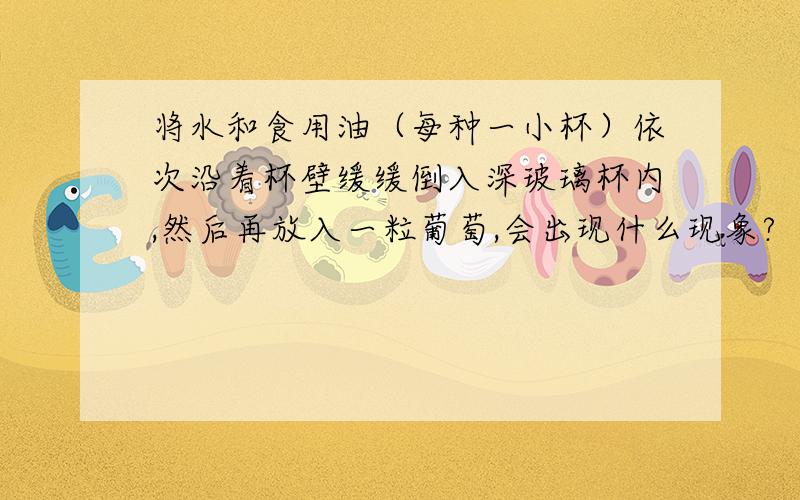 将水和食用油（每种一小杯）依次沿着杯壁缓缓倒入深玻璃杯内,然后再放入一粒葡萄,会出现什么现象?