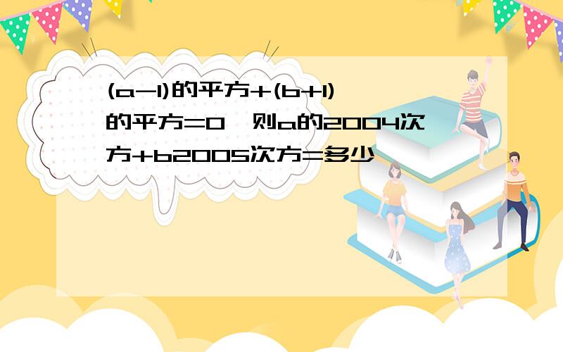 (a-1)的平方+(b+1)的平方=0,则a的2004次方+b2005次方=多少