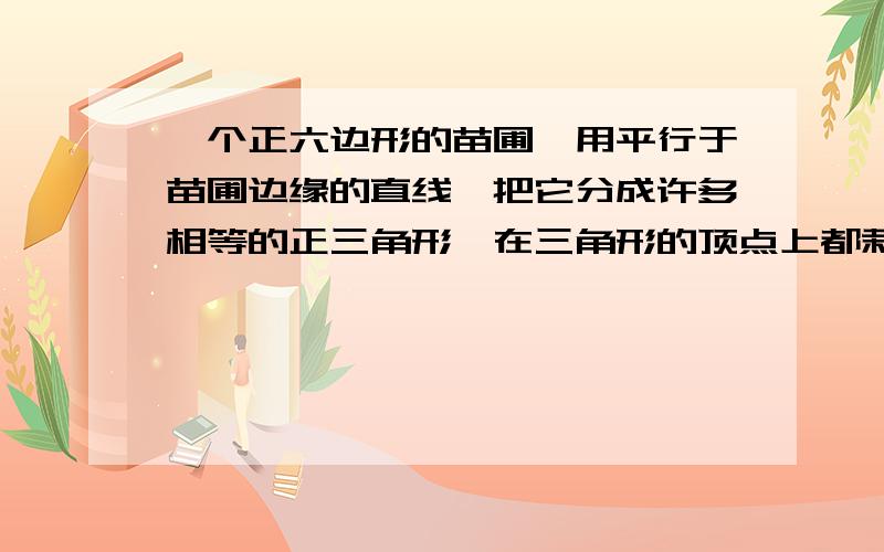 一个正六边形的苗圃,用平行于苗圃边缘的直线,把它分成许多相等的正三角形,在三角形的顶点上都栽种上树苗,已知苗圃的最外面一圈栽有90棵,请问苗圃中共栽树苗多少棵?