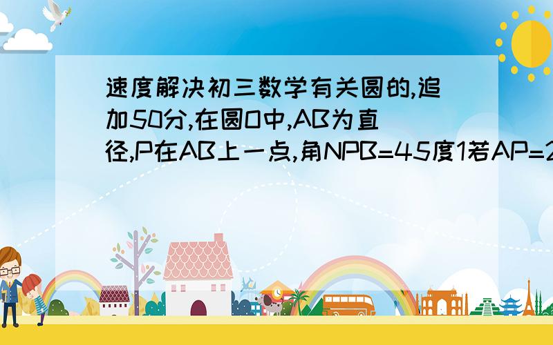 速度解决初三数学有关圆的,追加50分,在圆O中,AB为直径,P在AB上一点,角NPB=45度1若AP=2,BP=6,求MN的长?2若MP=3,NP=5,求AB的长?