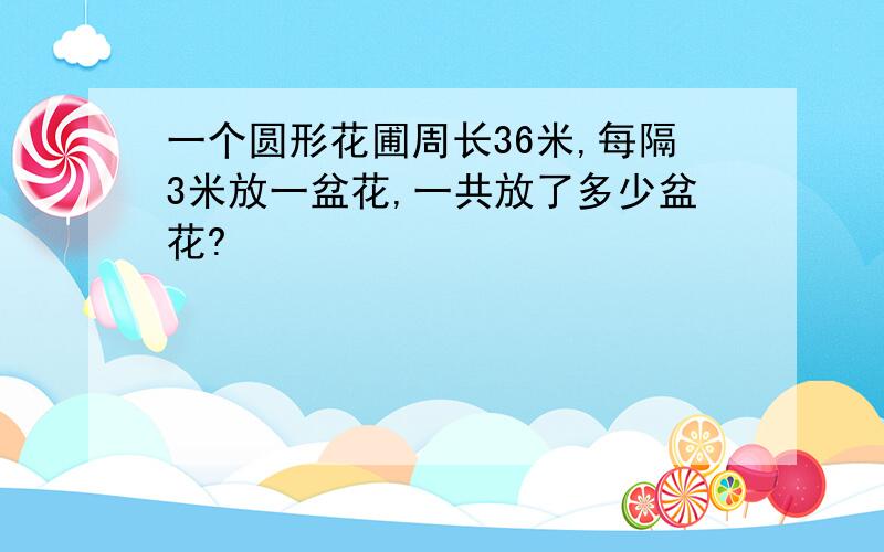 一个圆形花圃周长36米,每隔3米放一盆花,一共放了多少盆花?