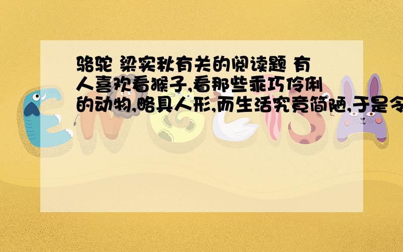 骆驼 梁实秋有关的阅读题 有人喜欢看猴子,看那些乖巧伶俐的动物,略具人形,而生活究竟简陋,于是令人不由得生出优越之感,掏一把花生掷进去.有人喜欢看狮子跳火圈,狗作算学,老虎翻筋头,