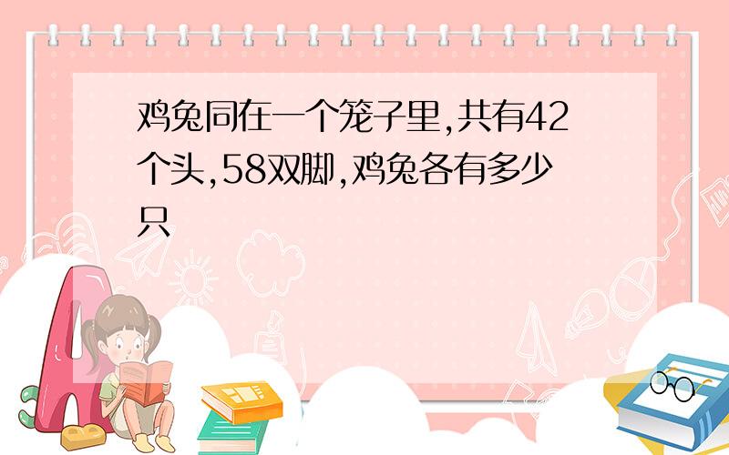 鸡兔同在一个笼子里,共有42个头,58双脚,鸡兔各有多少只