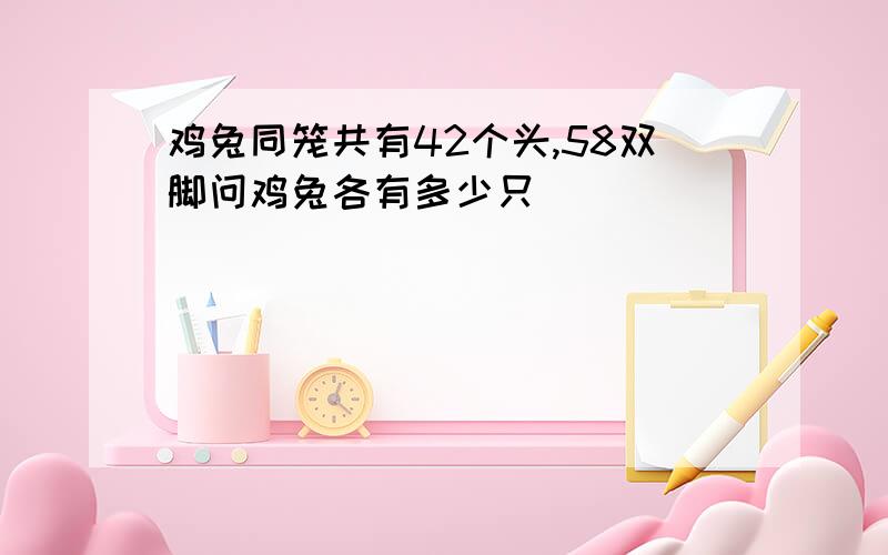 鸡兔同笼共有42个头,58双脚问鸡兔各有多少只