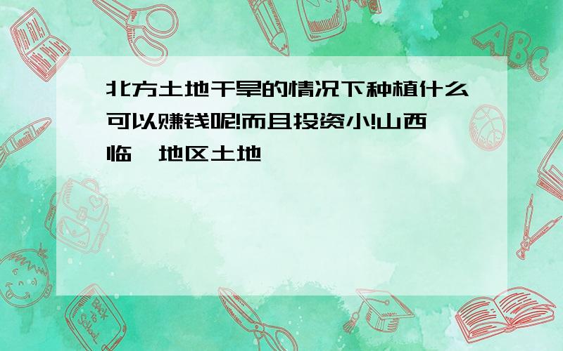 北方土地干旱的情况下种植什么可以赚钱呢!而且投资小!山西临汾地区土地