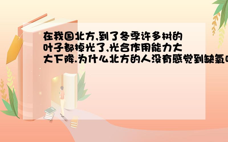 在我国北方,到了冬季许多树的叶子都掉光了,光合作用能力大大下降.为什么北方的人没有感觉到缺氧呢?我会为您祝福的!^v^