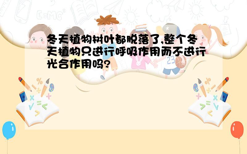 冬天植物树叶都脱落了,整个冬天植物只进行呼吸作用而不进行光合作用吗?