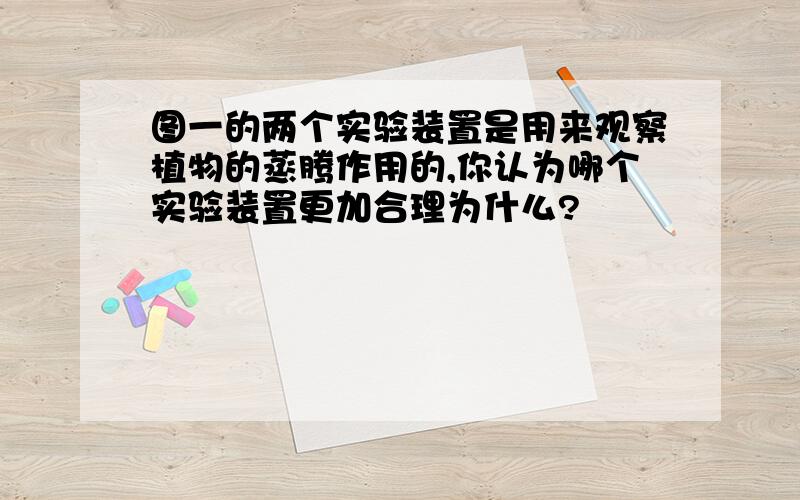 图一的两个实验装置是用来观察植物的蒸腾作用的,你认为哪个实验装置更加合理为什么?