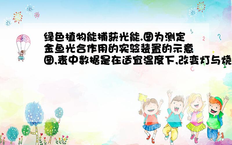 绿色植物能捕获光能.图为测定金鱼光合作用的实验装置的示意图,表中数据是在适宜温度下,改变灯与烧杯间距离（厘米）,测得的金鱼藻放出的气泡数.图：灯与烧杯间的距离10 15 20 25 30 35 40 45