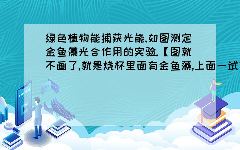 绿色植物能捕获光能.如图测定金鱼藻光合作用的实验.【图就不画了,就是烧杯里面有金鱼藻,上面一试管试管中收集到的气体的主要成分是【】检验的方法是【】