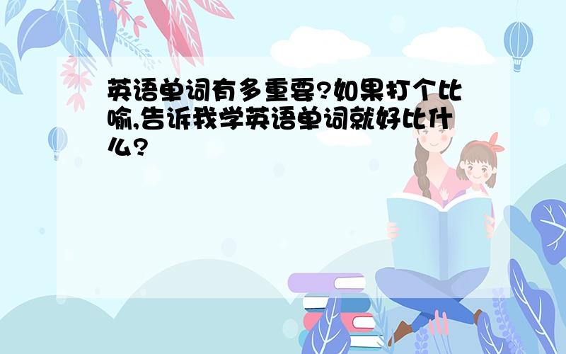 英语单词有多重要?如果打个比喻,告诉我学英语单词就好比什么?