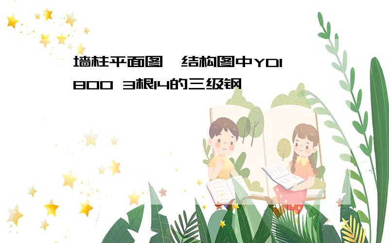 墙柱平面图,结构图中YD1 800 3根14的三级钢,