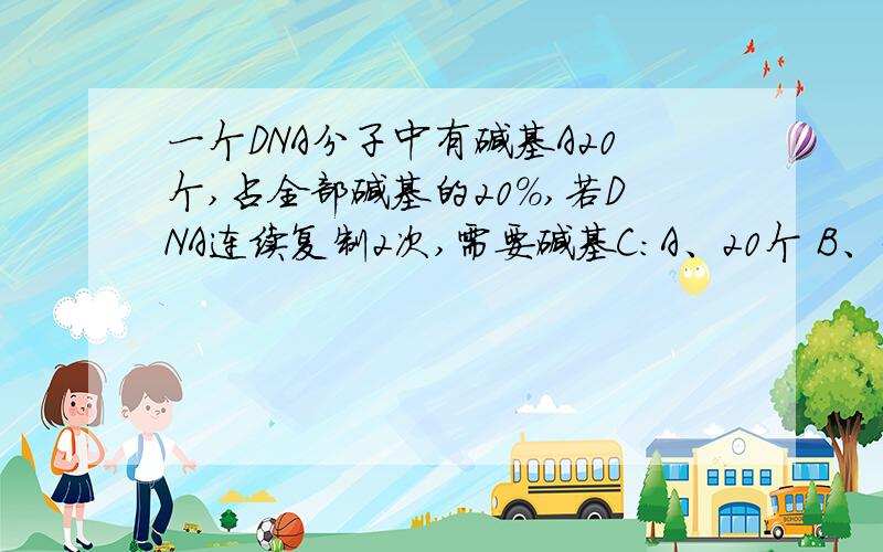 一个DNA分子中有碱基A20个,占全部碱基的20%,若DNA连续复制2次,需要碱基C：A、20个 B、30个 C、90个 D、120个A：20那么T:20 C：30 G：30复制两次不应该是30*2=60吗?