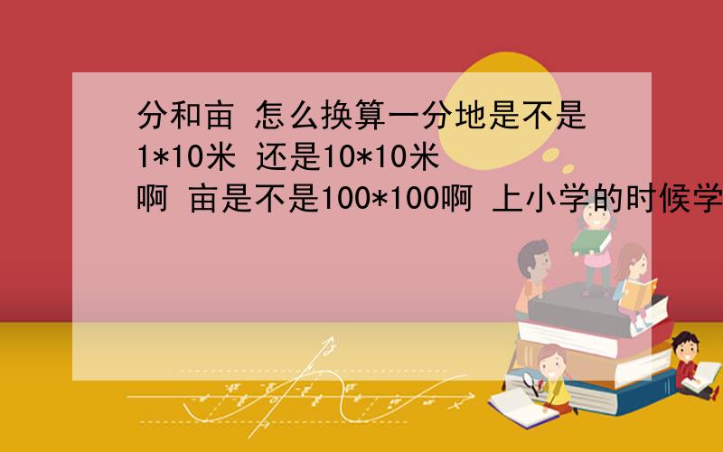 分和亩 怎么换算一分地是不是1*10米 还是10*10米啊 亩是不是100*100啊 上小学的时候学过 现在记不清了