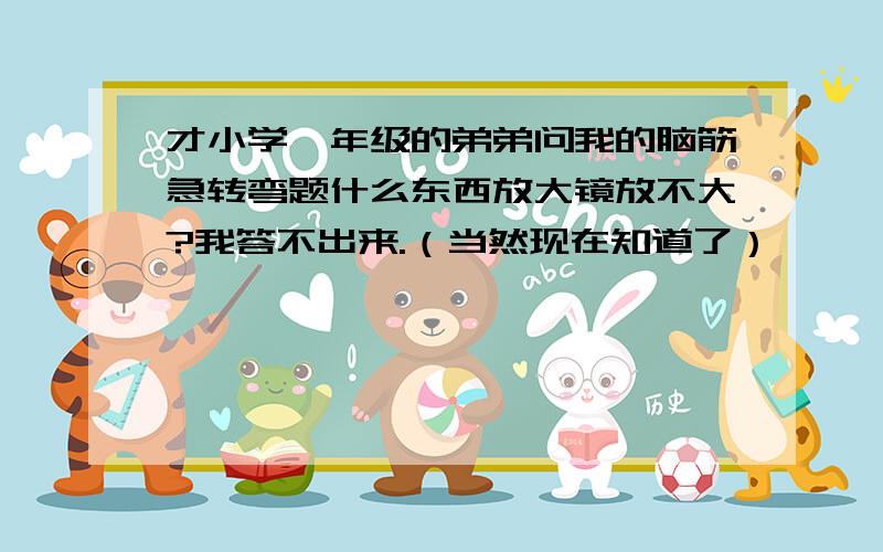 才小学一年级的弟弟问我的脑筋急转弯题什么东西放大镜放不大?我答不出来.（当然现在知道了）