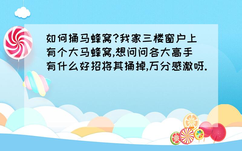 如何捅马蜂窝?我家三楼窗户上有个大马蜂窝,想问问各大高手有什么好招将其捅掉,万分感激呀.