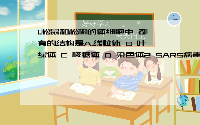 1.松鼠和松树的体细胞中 都有的结构是A.线粒体 B 叶绿体 C 核糖体 D 染色体2 SARS病毒的遗传物质中含有的核苷酸的种类及碱基的种类分别是A 1、4 B 5、8 C 4、4 D 5、43 一马突然得病,并全身抽搐,