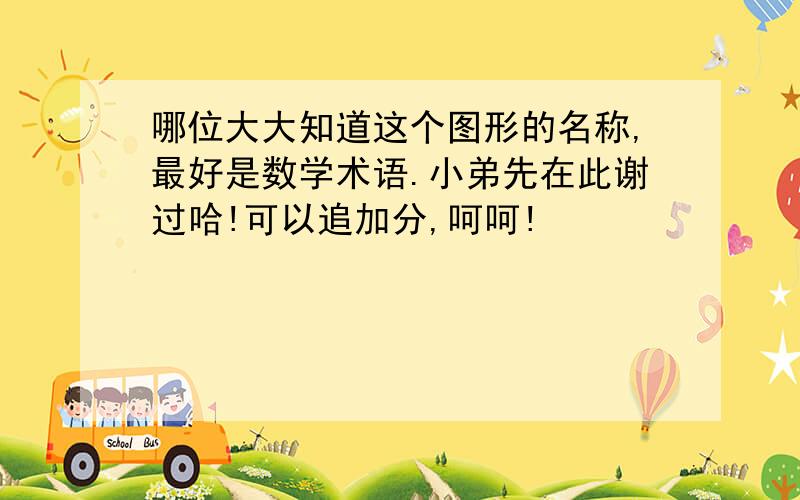 哪位大大知道这个图形的名称,最好是数学术语.小弟先在此谢过哈!可以追加分,呵呵!