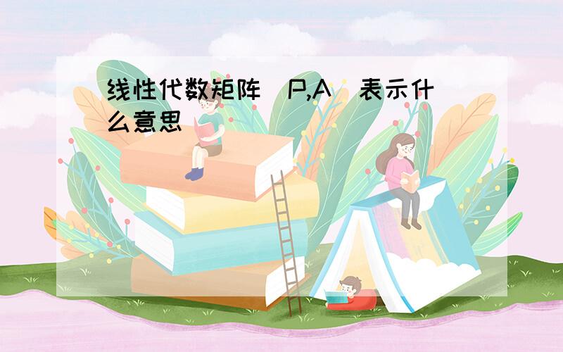 线性代数矩阵（P,A）表示什么意思