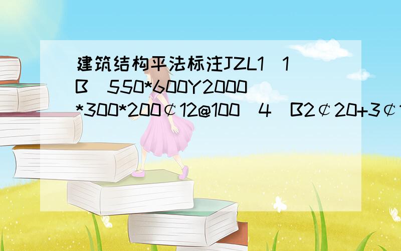 建筑结构平法标注JZL1（1B）550*600Y2000*300*200￠12@100(4)B2￠20+3￠18;T2是￠18+3￠16Y￠14@250;￠8@200什么意思此为独立基础