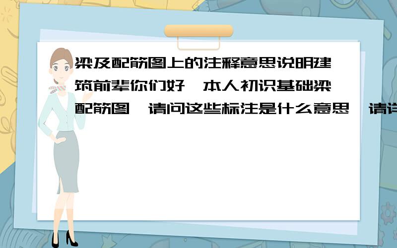 梁及配筋图上的注释意思说明建筑前辈你们好,本人初识基础梁配筋图,请问这些标注是什么意思,请详细回答,谢谢!JL20（2） 250*500Ф8@100/200（2）3 Ф18；3 Ф18G2 Ф12