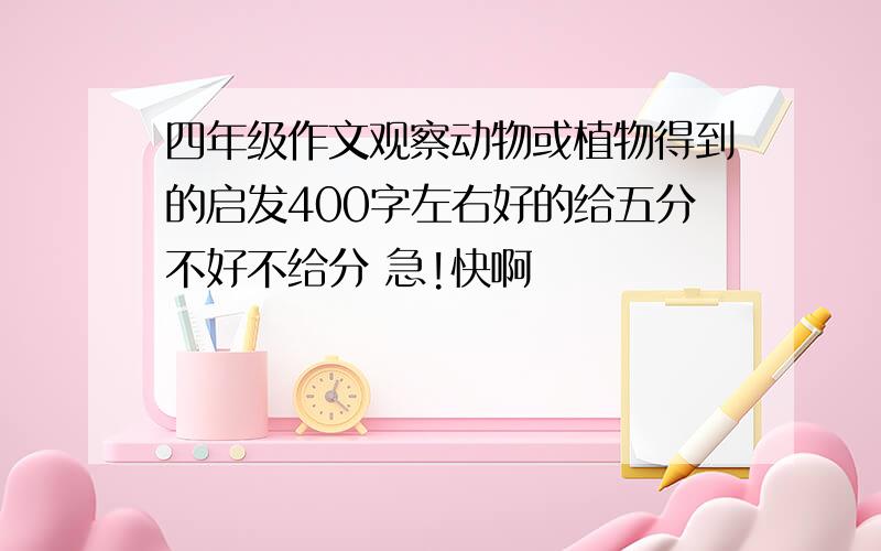 四年级作文观察动物或植物得到的启发400字左右好的给五分不好不给分 急!快啊