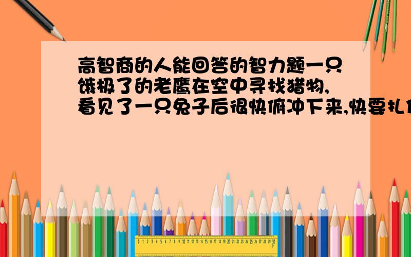 高智商的人能回答的智力题一只饿极了的老鹰在空中寻找猎物,看见了一只兔子后很快俯冲下来,快要扎住兔子的时候,兔子忽然回头说了一句话,老鹰就怕得掉了下来摔死了,请问兔子说的是什