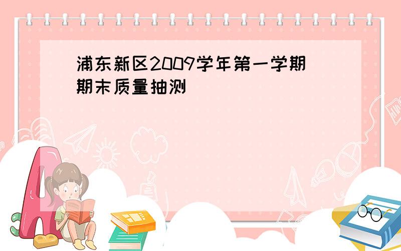 浦东新区2009学年第一学期期末质量抽测