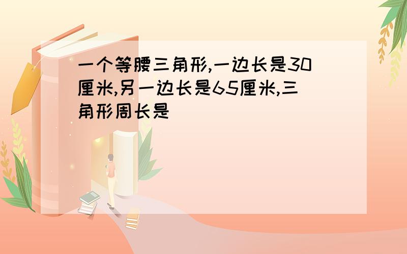 一个等腰三角形,一边长是30厘米,另一边长是65厘米,三角形周长是